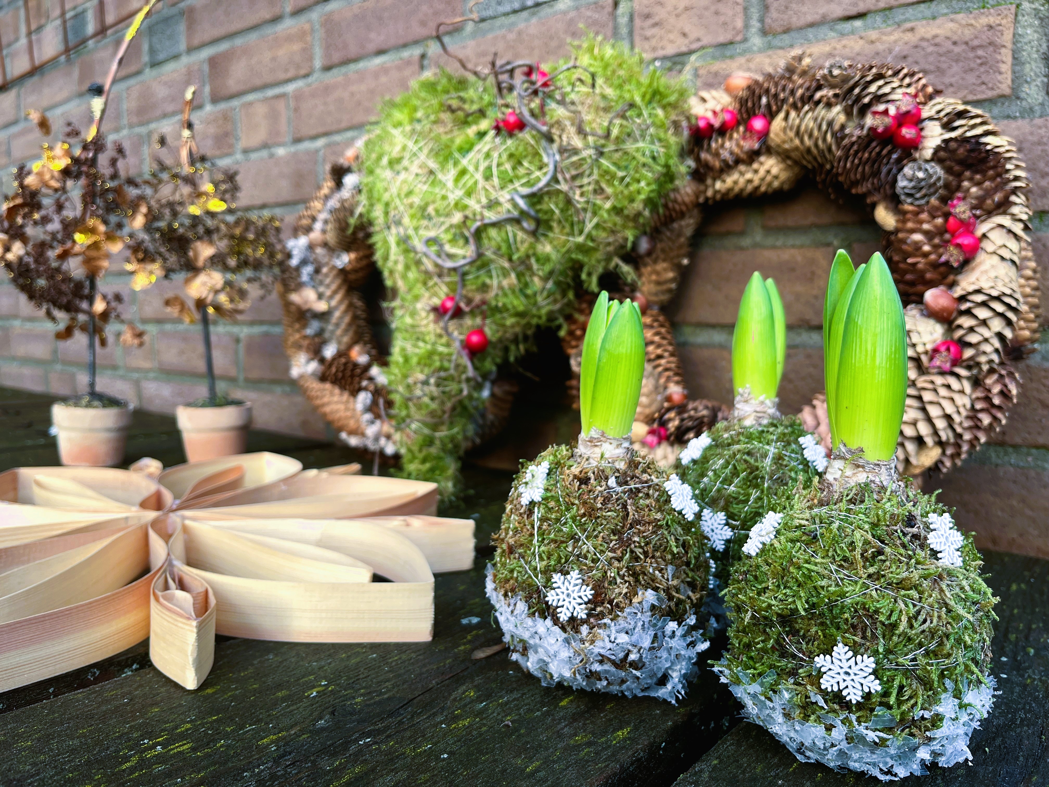 Forskjellig julepynt laget av blomsterspirene på vg2 blomst