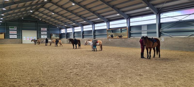 Ridehallen med hester og ryttere