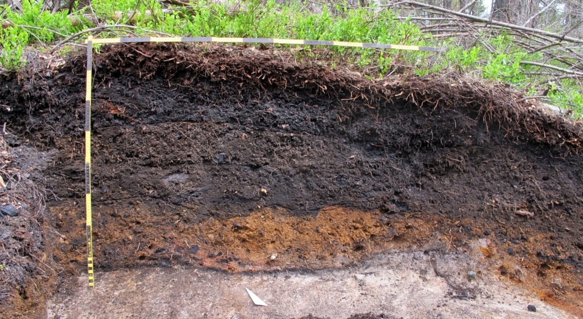 snitt med flere lag jord og målestokk