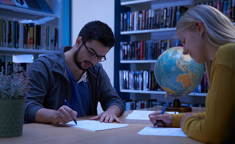 To elever jobber på skolens bibliotek