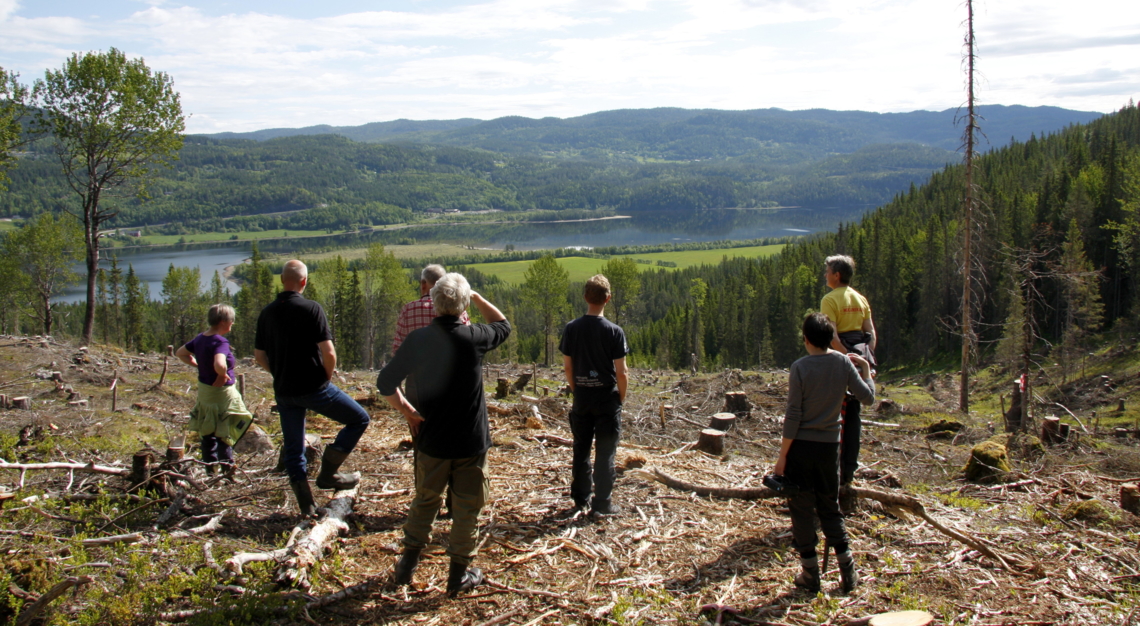 en gruppe folk speider utover utsikten fra Gauksland