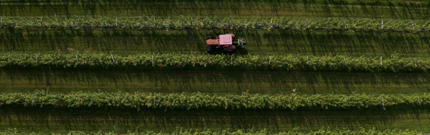 En traktor i en grønn åker i fugleperspektiv.